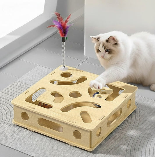 Interactive Cat Maze (with Balls and Feather)