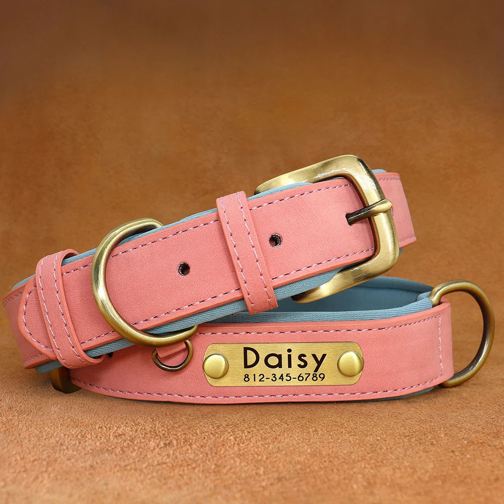 Engraved Pebbled Leather Dog Collar (Adjustable Fit)