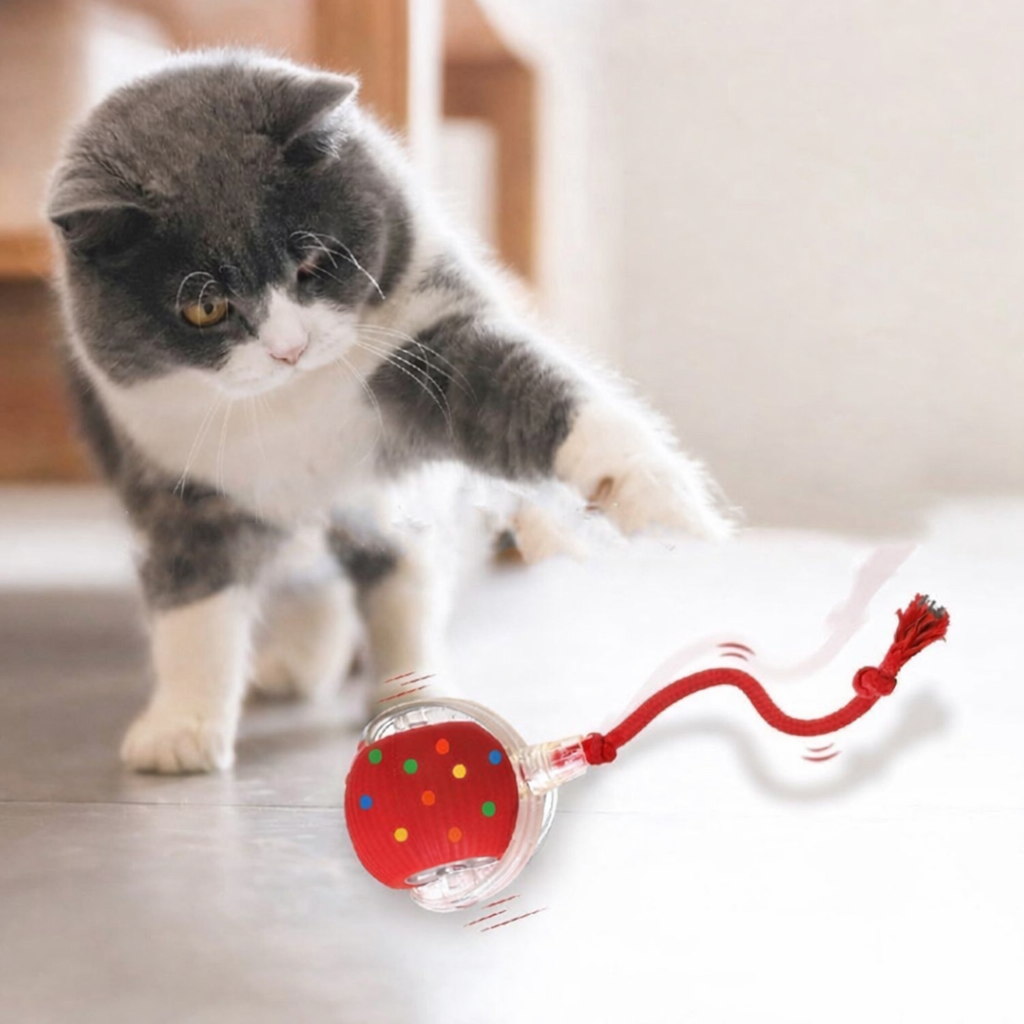 Automatic Cat Teaser Ball