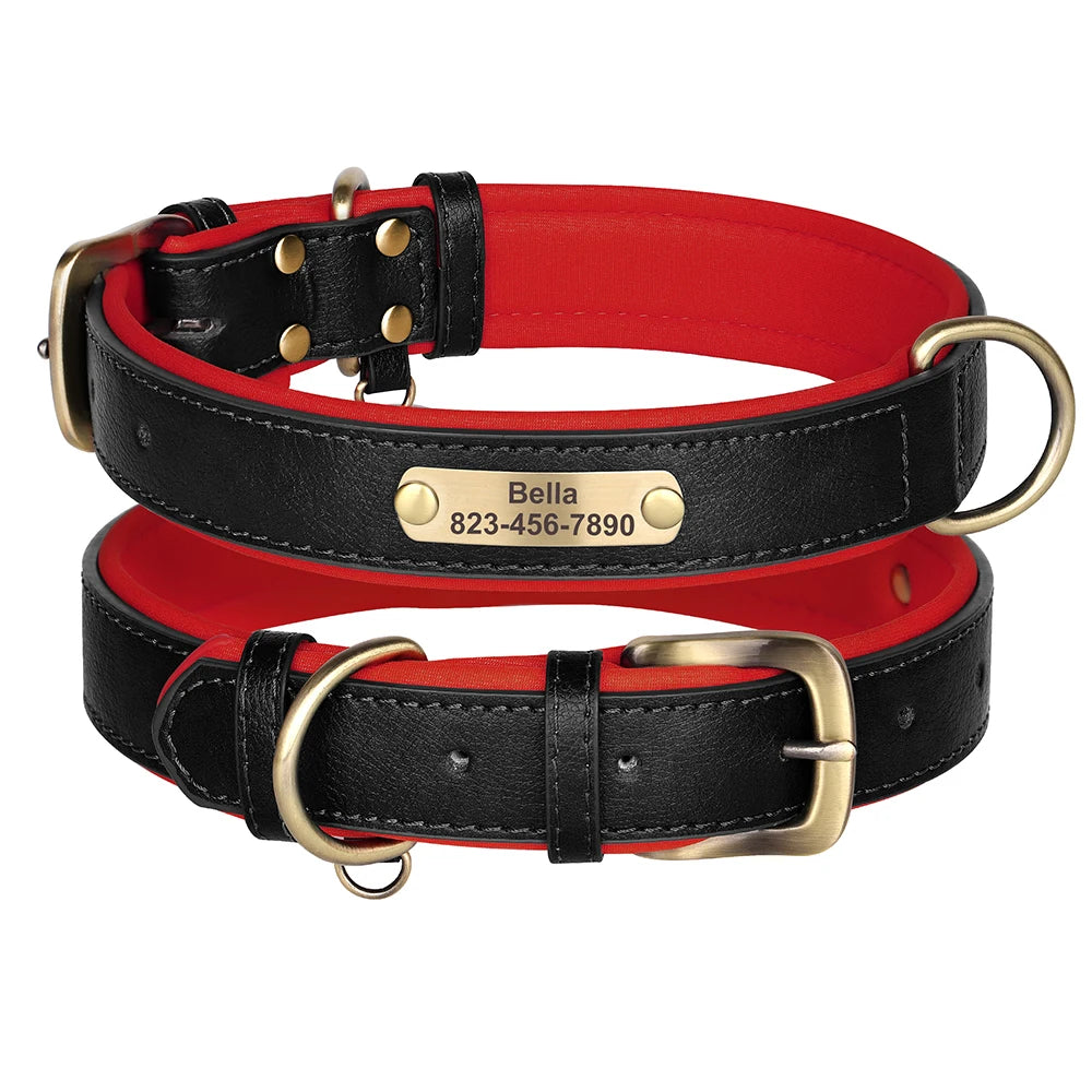 Engraved Smooth Leather Dog Collar