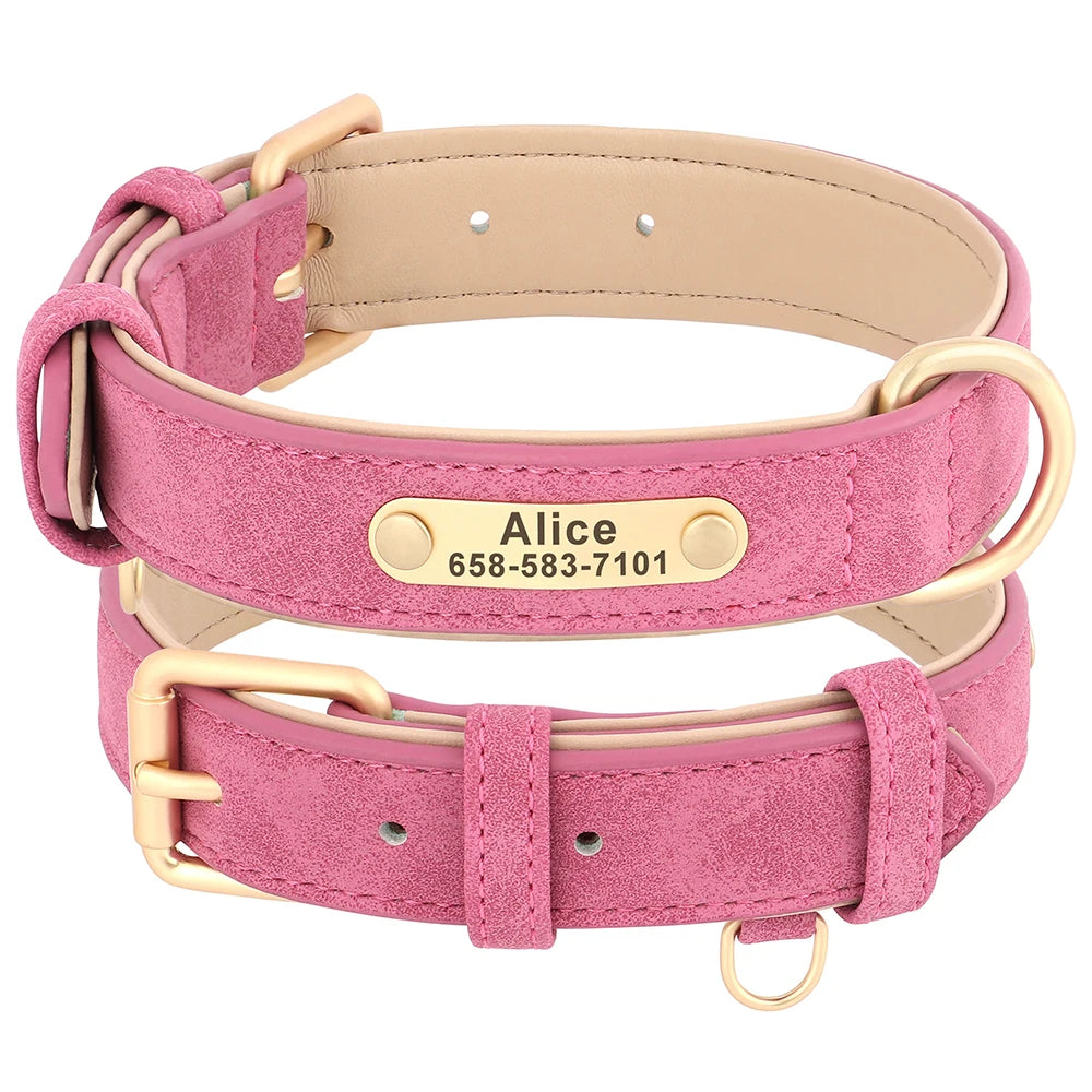 Engraved Smooth Leather Dog Collar