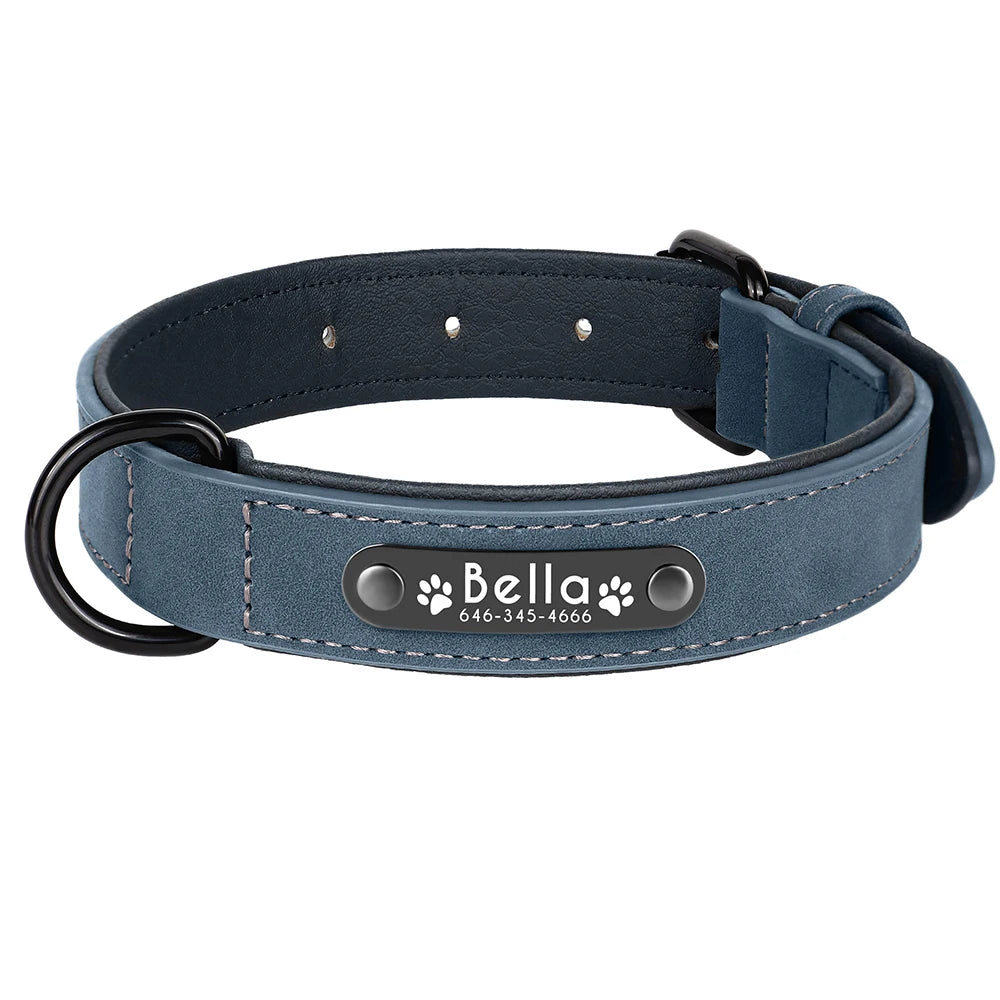 Engraved Soft Suede Dog Collar