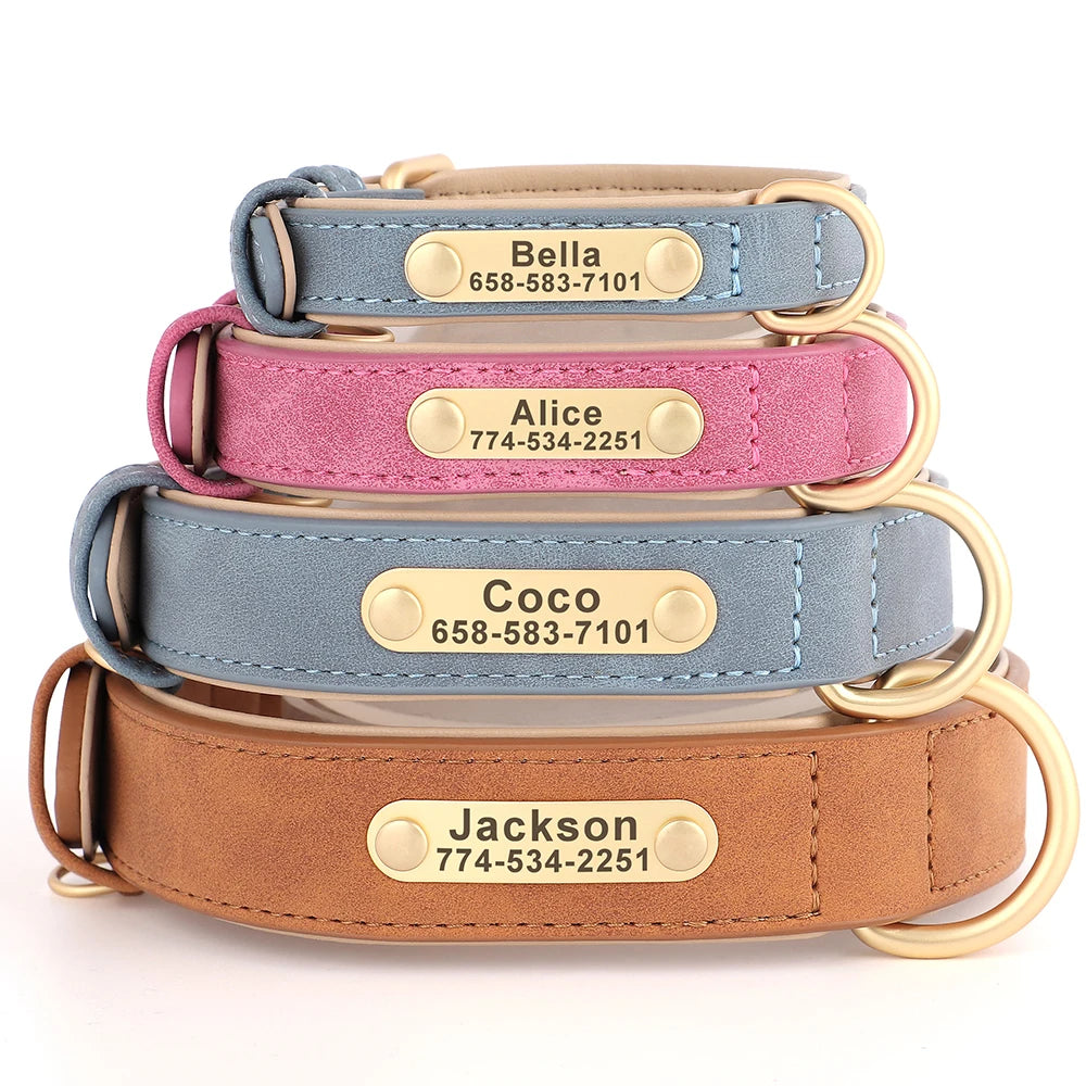 Engraved Smooth Leather Dog Collar