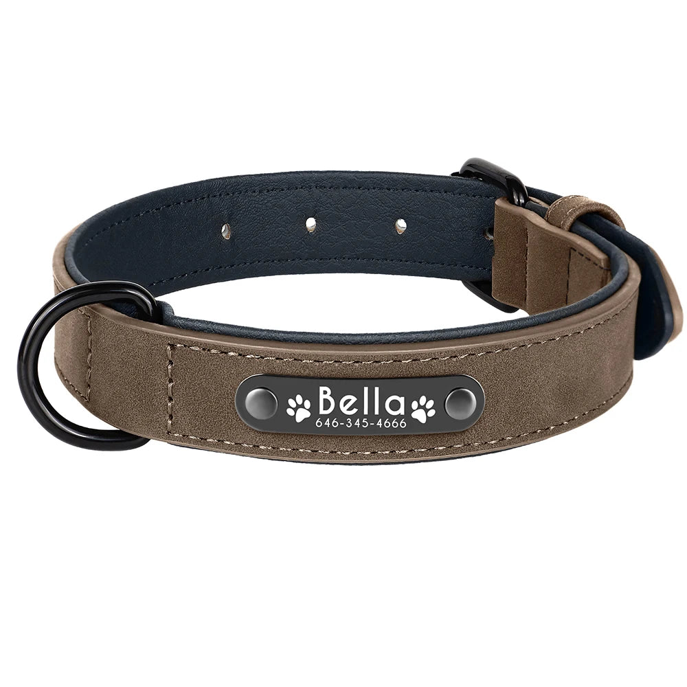 Engraved Soft Suede Dog Collar