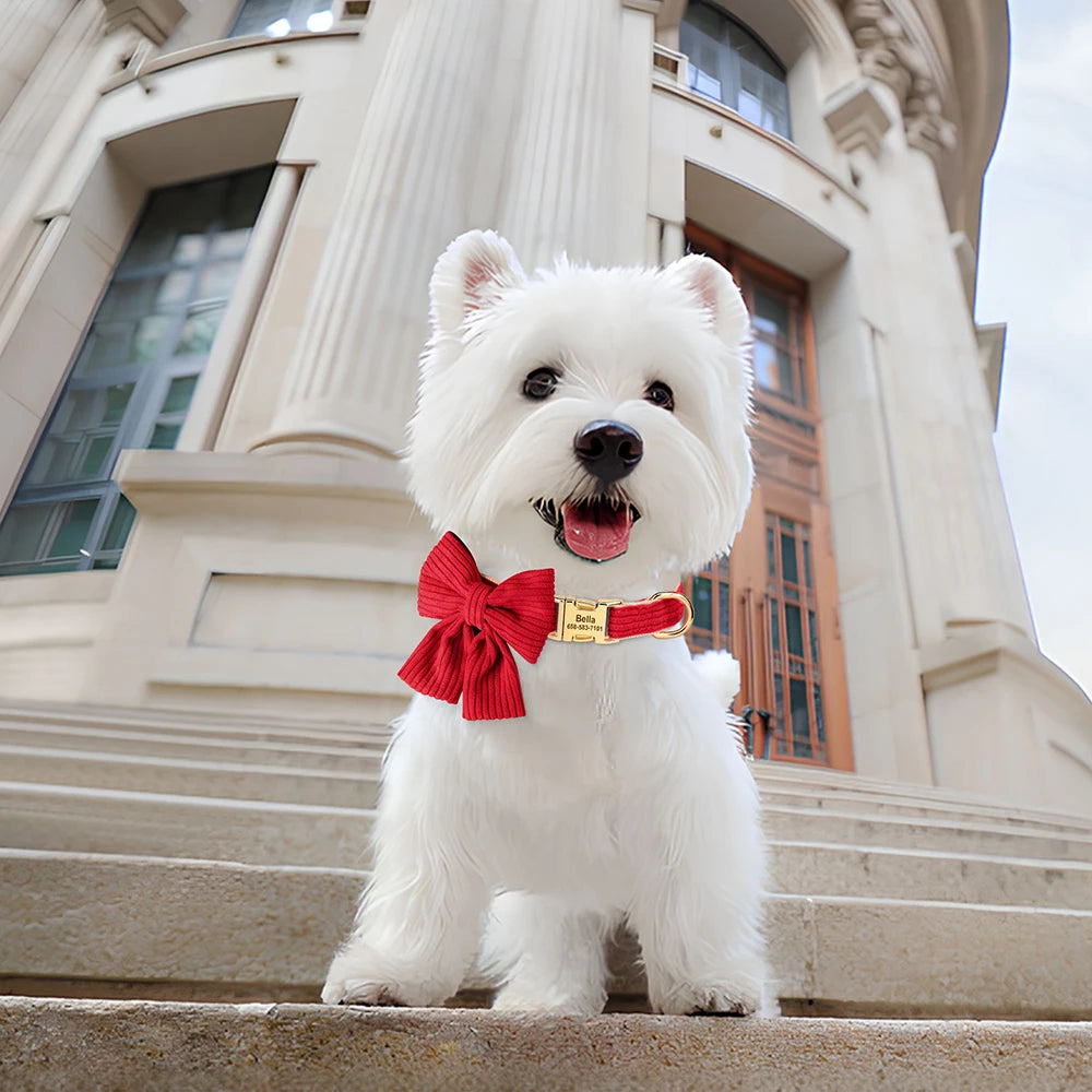Personalized Ribbon Bow Collar