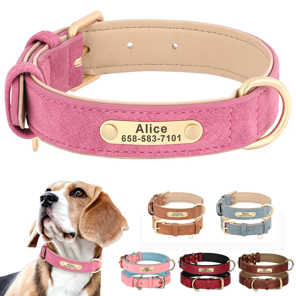 Engraved Smooth Leather Dog Collar