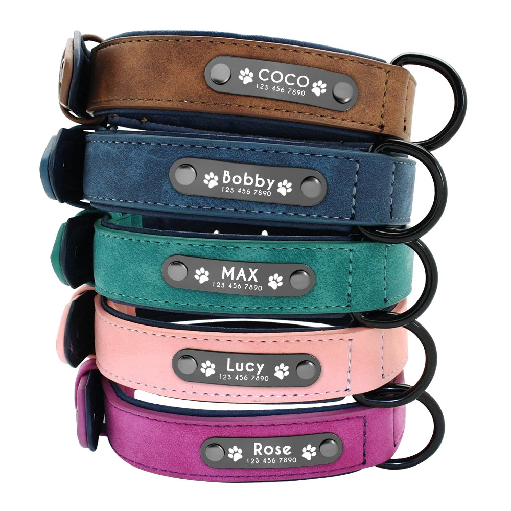 Engraved Soft Suede Dog Collar