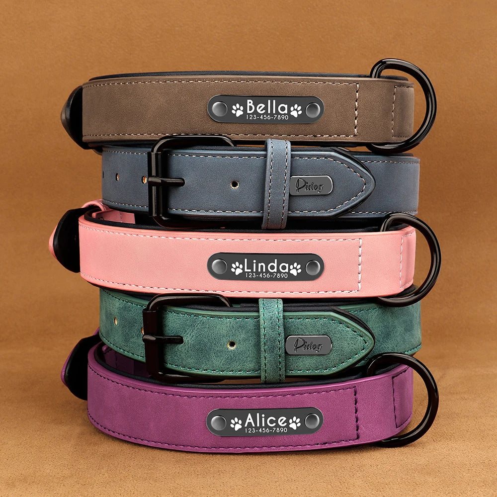Engraved Soft Suede Dog Collar
