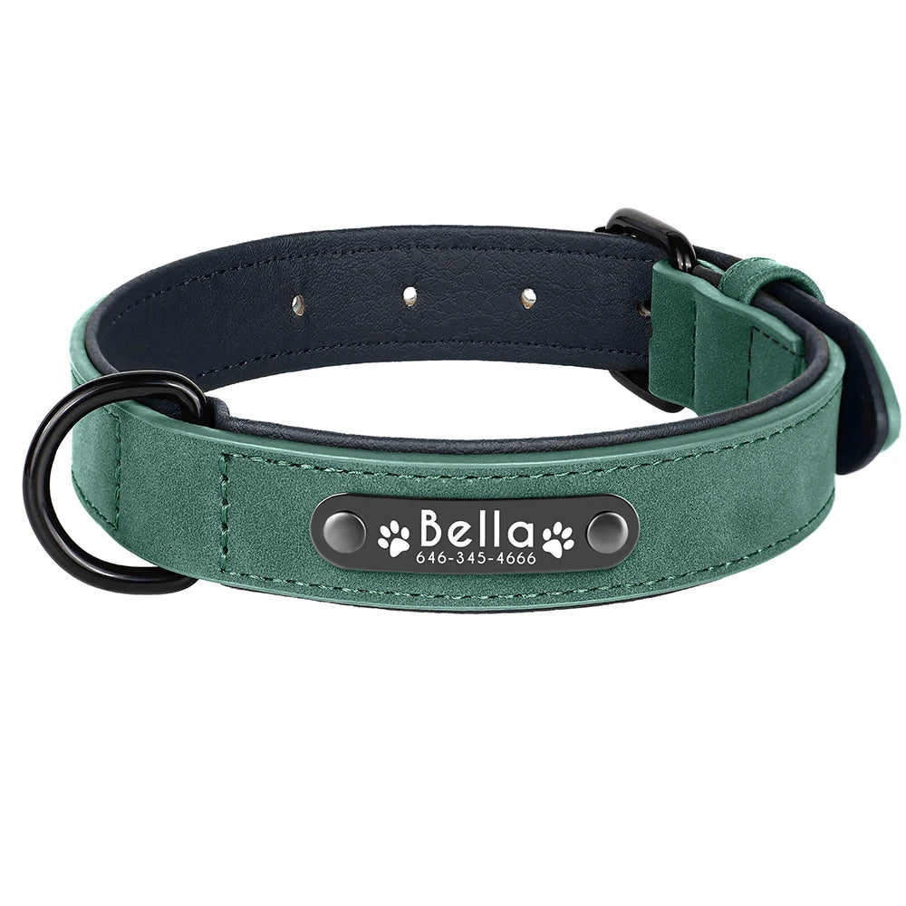 Engraved Soft Suede Dog Collar