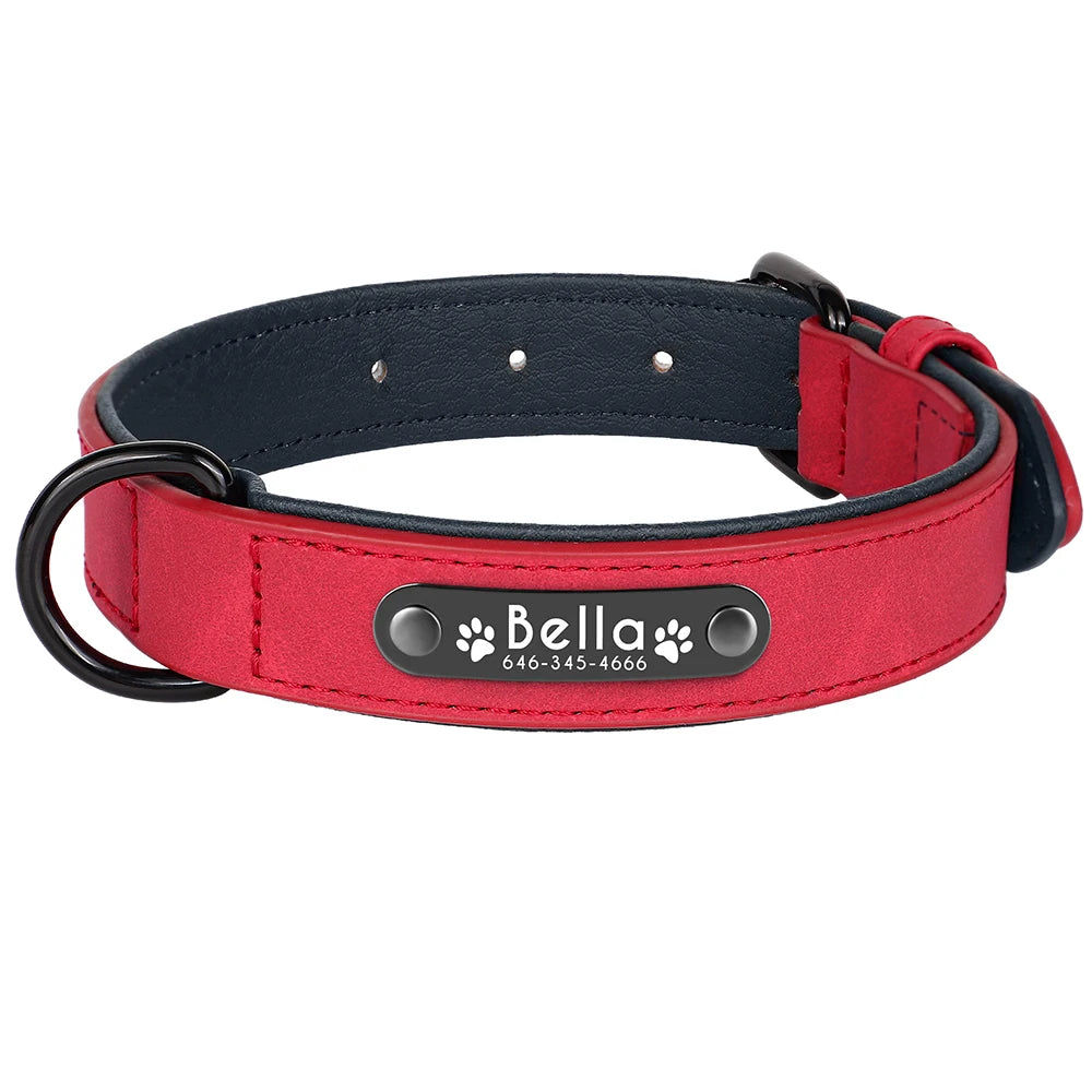 Engraved Soft Suede Dog Collar