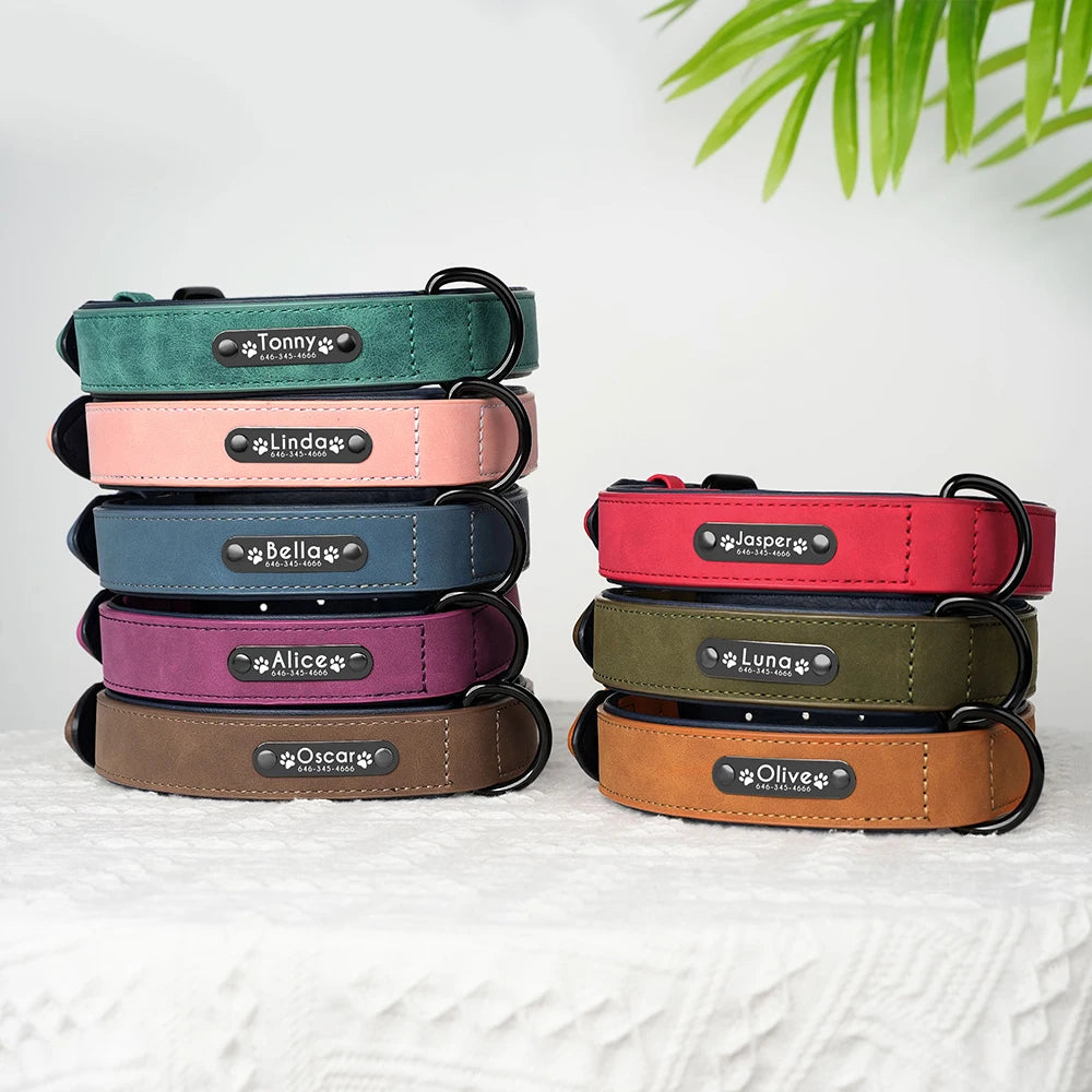 Engraved Soft Suede Dog Collar