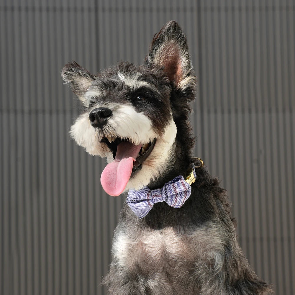 Personalised Classic Plaid Bow Collar