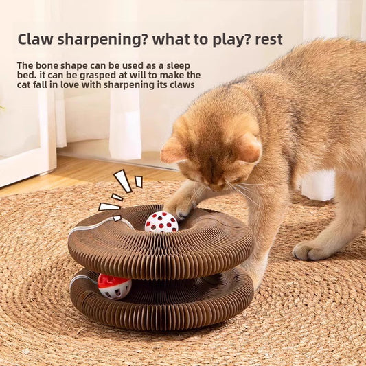 Magic Organ Cat Scratcher Toy