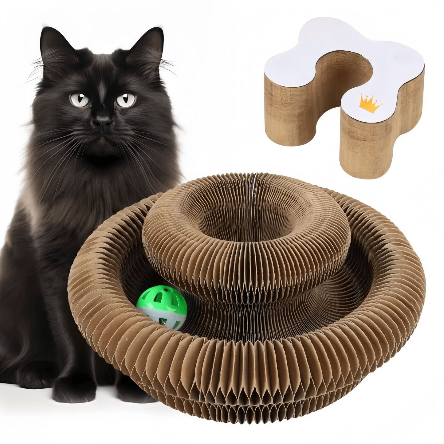 Magic Organ Cat Scratcher Toy